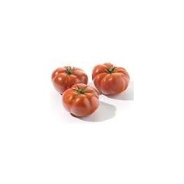 Tomates Cotelées