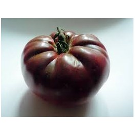 Tomates noires de crimée